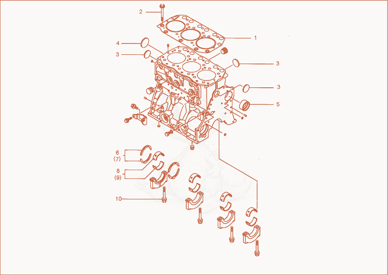 Exploded parts diagram of the cylinder block of a Wacker Neuson 5001RDV, with numbered balloons