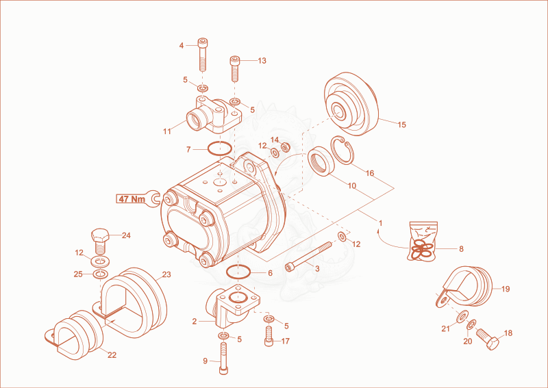 Exploded parts diagram of the gear pump of a Wacker Neuson EW65, with numbered balloons